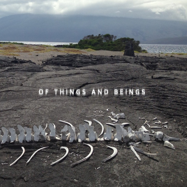 Of Things and Beings